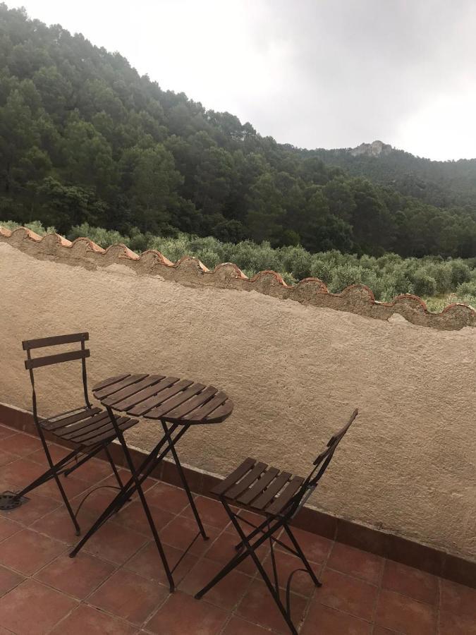 科尔蒂霍亚德拉公寓 Siles 外观 照片